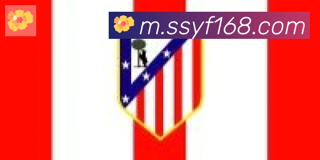 爱游戏ayx官网合作伙伴