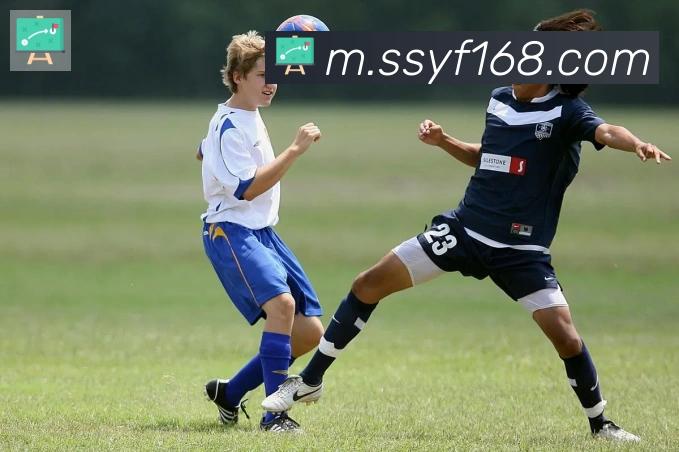 爱游戏ayx官网全站App